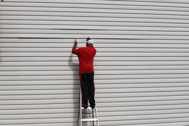 Best Stone Veneer Siding  in Rolling Meadows, IL