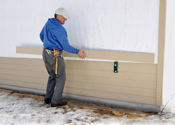 Best Aluminum Siding Installation  in Rolling Meadows, IL